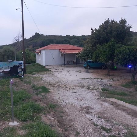 فيلا Avocado House فينيكونتا المظهر الخارجي الصورة