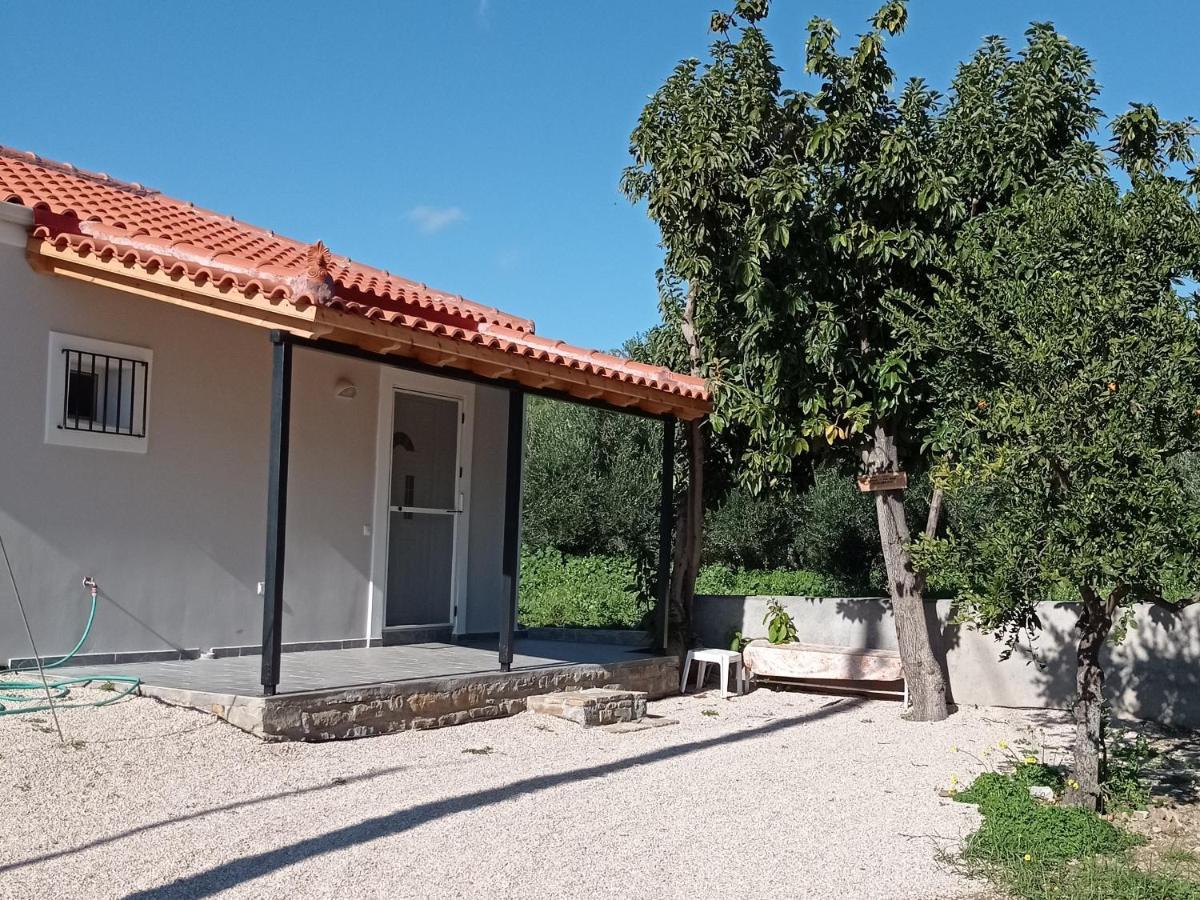 فيلا Avocado House فينيكونتا المظهر الخارجي الصورة
