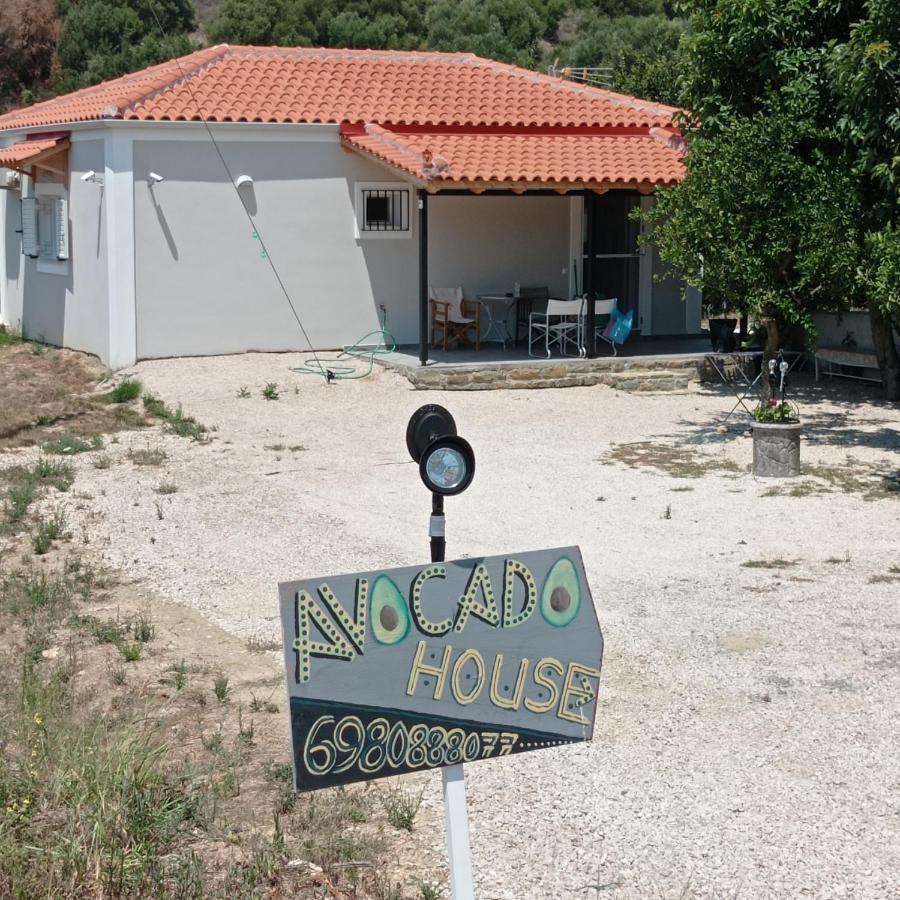 فيلا Avocado House فينيكونتا المظهر الخارجي الصورة