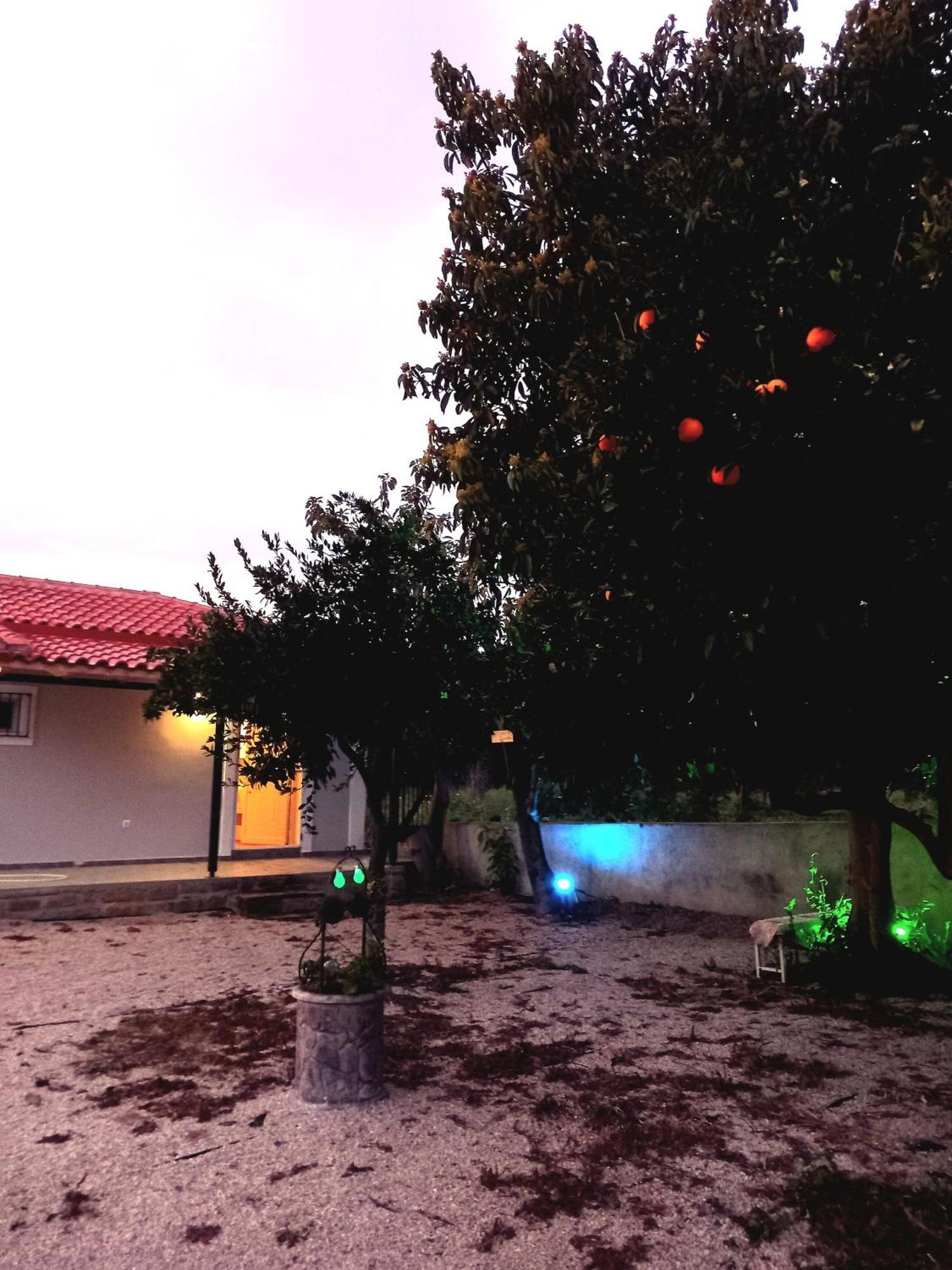 فيلا Avocado House فينيكونتا المظهر الخارجي الصورة