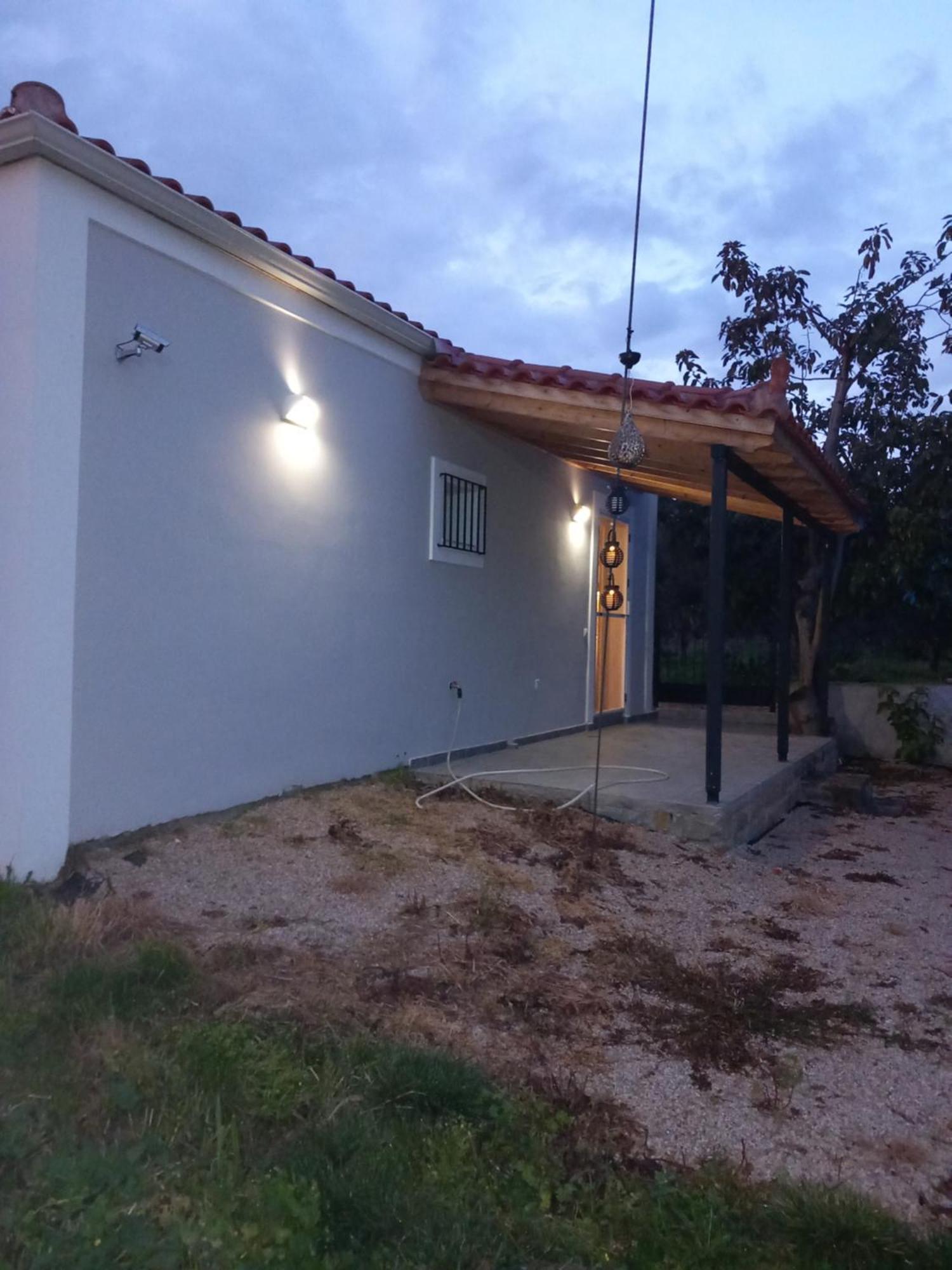 فيلا Avocado House فينيكونتا المظهر الخارجي الصورة