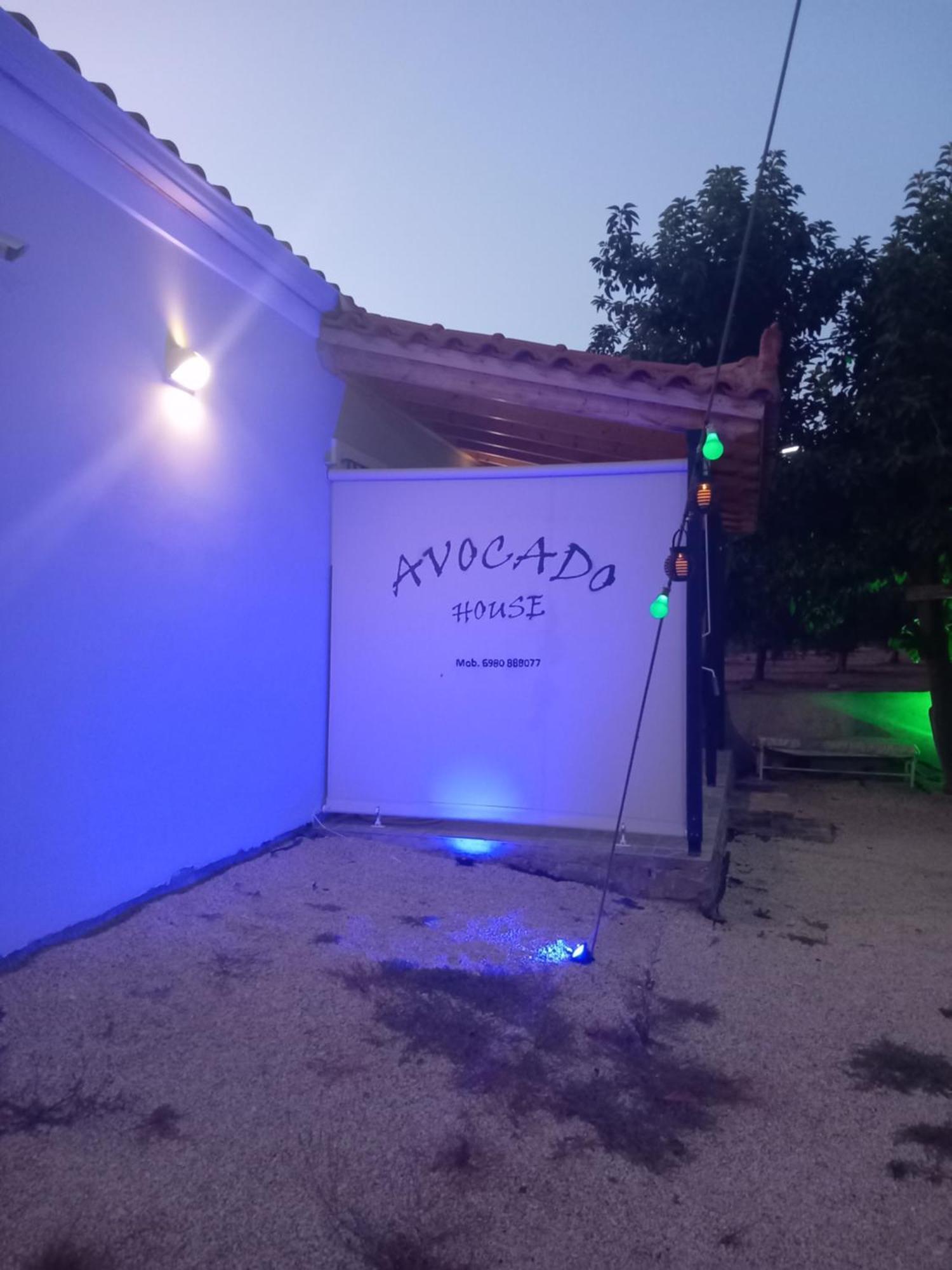 فيلا Avocado House فينيكونتا المظهر الخارجي الصورة
